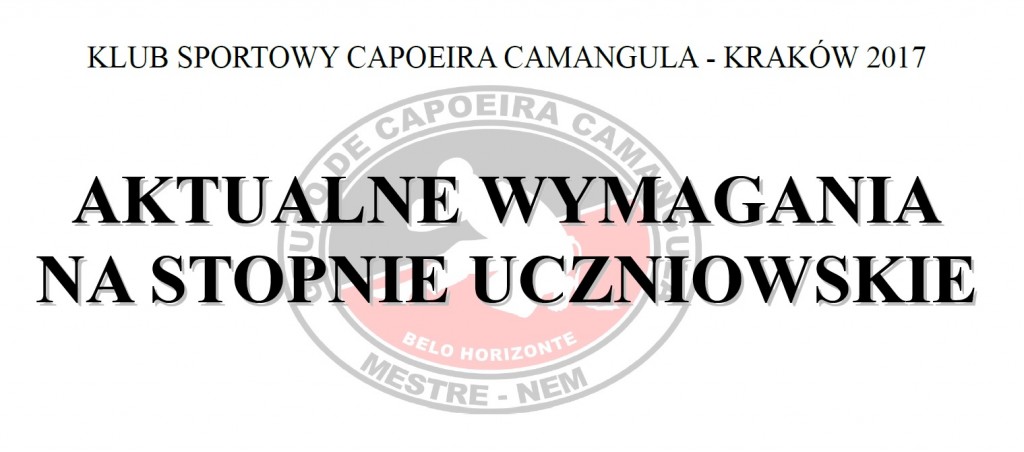 wymagania na stopnie